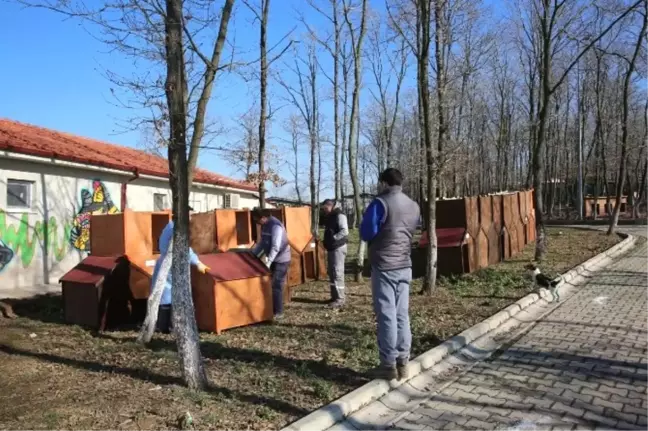 Başkan'dan