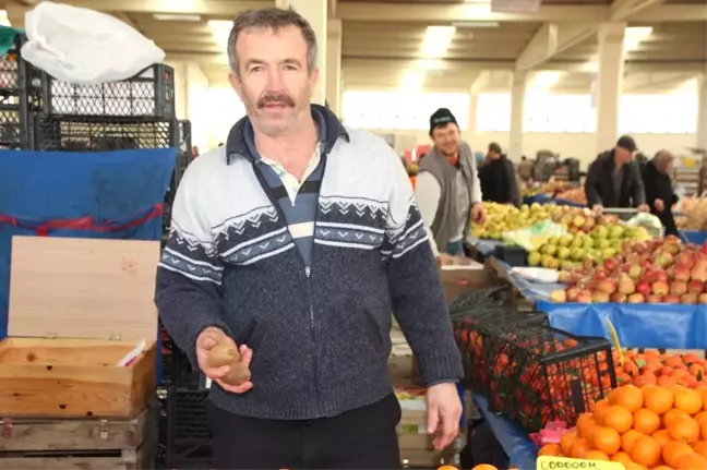 Kivi Çocuklu Annelerin Birinci Tercihi