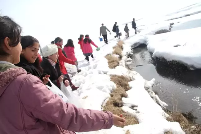 Zonguldak'da Organik Arıcılık Yaygınlaşıyor