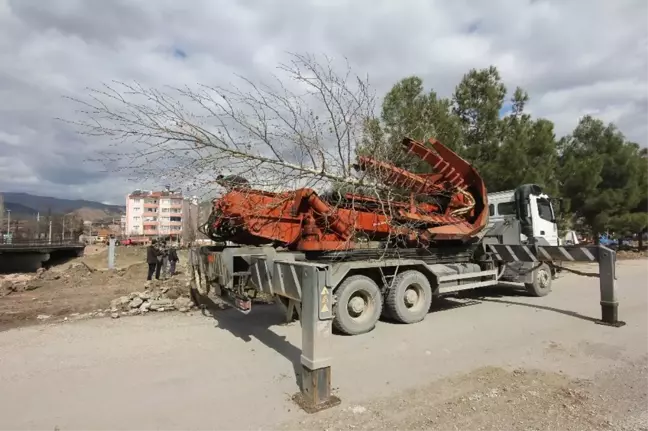 Osmancık'ta Kızılırmak Sahilindeki Ağaçlar Taşınıyor
