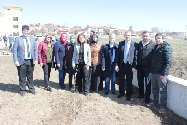 Öğrenciler Fidan Dikti
