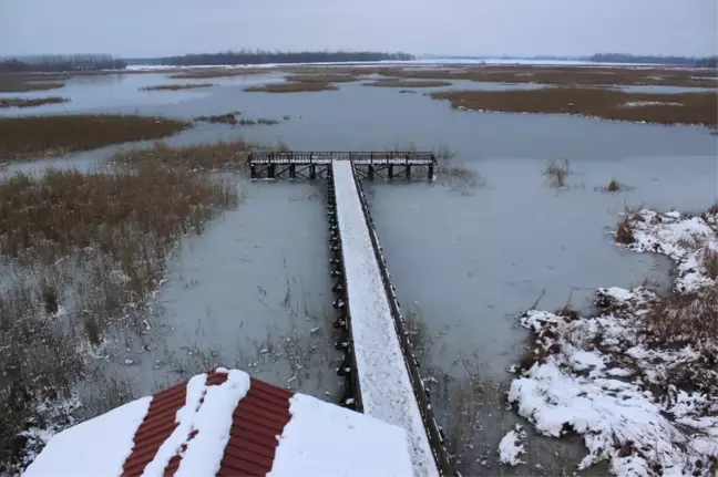 Efteni Gölü Abant'a Rakip Olacak