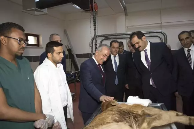 Gıda Tarım ve Hayvancılık Bakanlığı Müsteşarı Dr. Nusret Yazıcı Hayvan Hastanesi ve Ziraat...