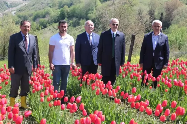 Bartın'da Tarımsal Üretime Destekler Sürüyor