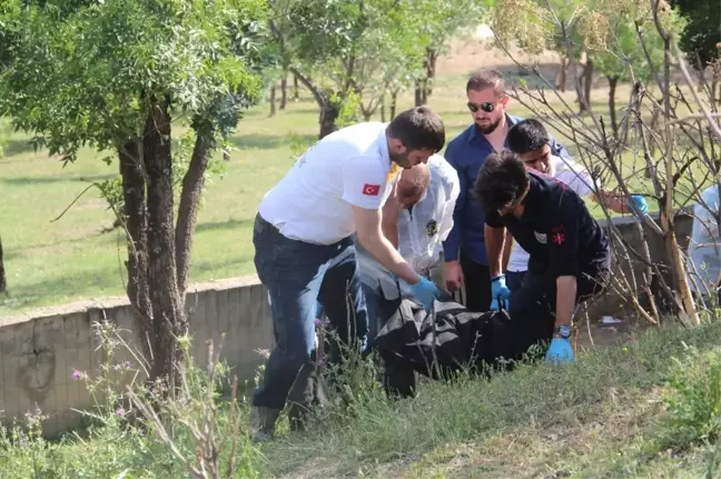 Batman'da Ağaca Asılı Ceset Bulundu