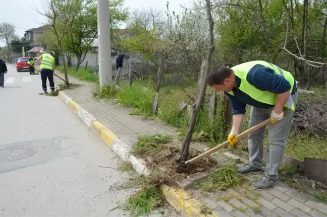 Kartepe'de Yaz Bakımı Başladı