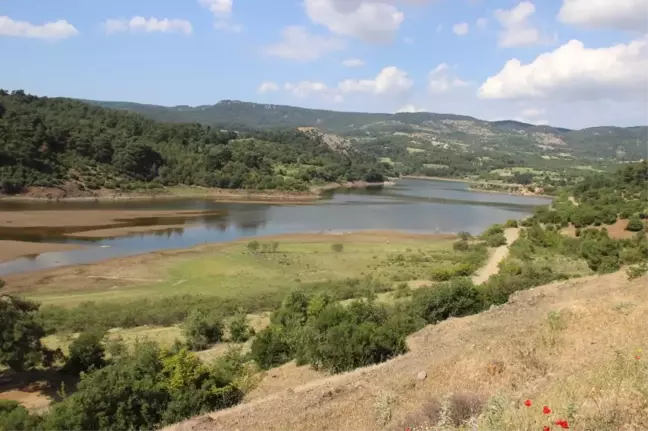 Çanakkale'de Altın Madeni Tepkisi