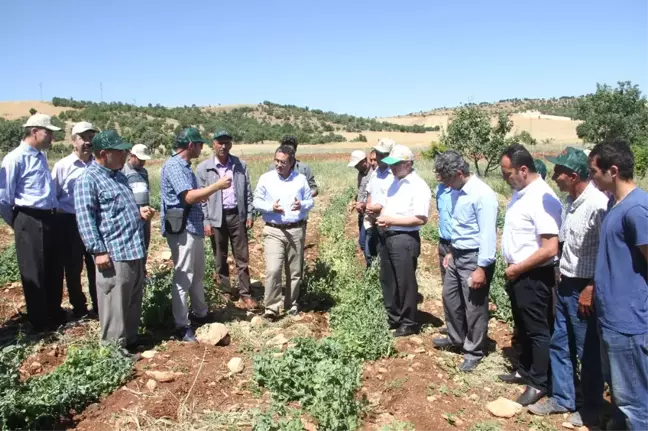 Diyarbakır'da Terör Bitti Tarım Canlandı