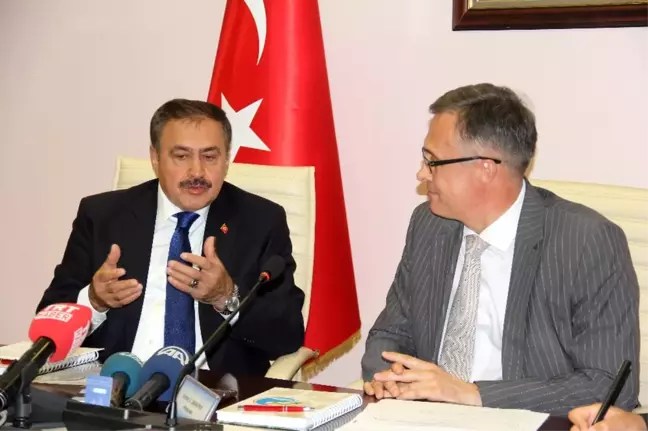 Beralus'ta 1 Milyon Dolarlık Yatırım Gerçekleştirildi