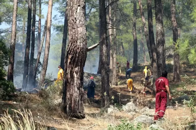 Güncelleme 2 - Antalya'da Alev Alan Otobüsteki Yangın Ormana Sıçradı