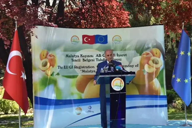 AB Coğrafi İşaret Tescil Belgesi Mtso'ya Verildi