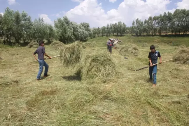 Ağrı'da Vatandaşların Kış Hazırlığı
