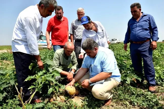 Tarım Komisyonu'ndan 'Dolu' Seferberliği