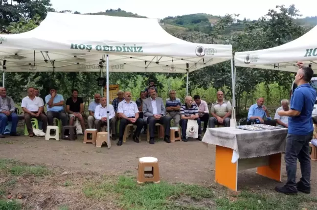Fındıkta Kalite ve Verimin Artırılmasına Yönelik Proje