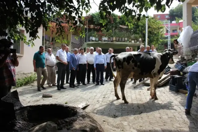 Orköy'den Arsuz'da Köylüye Destek