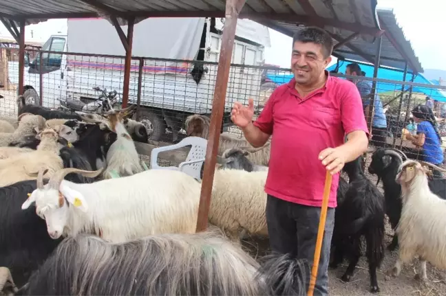 Vezirköprü'de Kurban Pazarında Durgunluk
