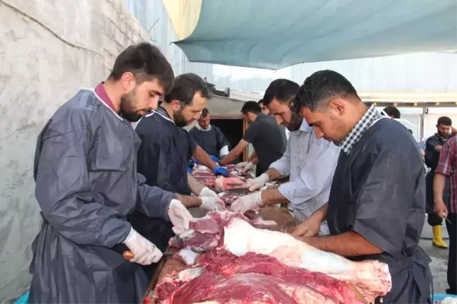 Van'da Toplu Kurban Kesimi