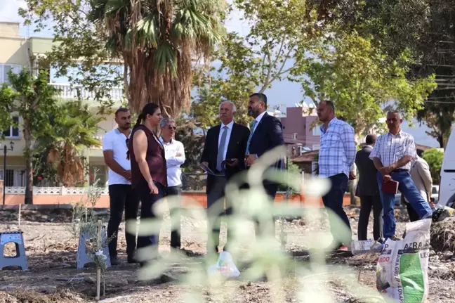 Külliye Bahçesine Zeytin Ağaçları Dikildi
