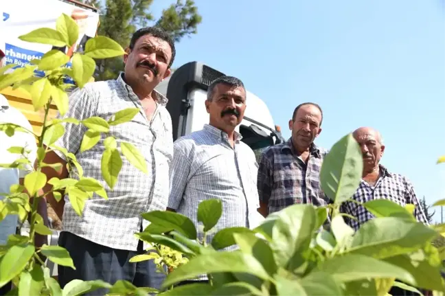 Mersin'de Belediyeden Üreticiye Tropik Destek