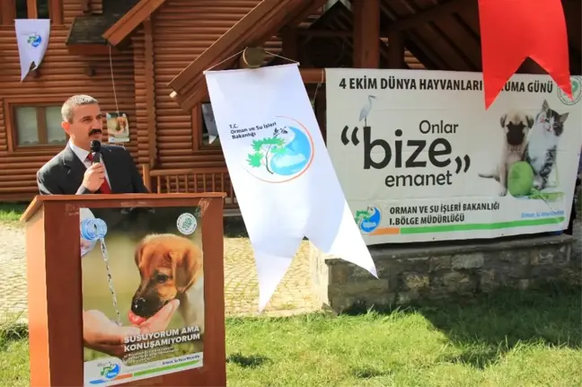 Hayatlarında İlk Kez Sülün Gören Öğrencilerin Heyecanı