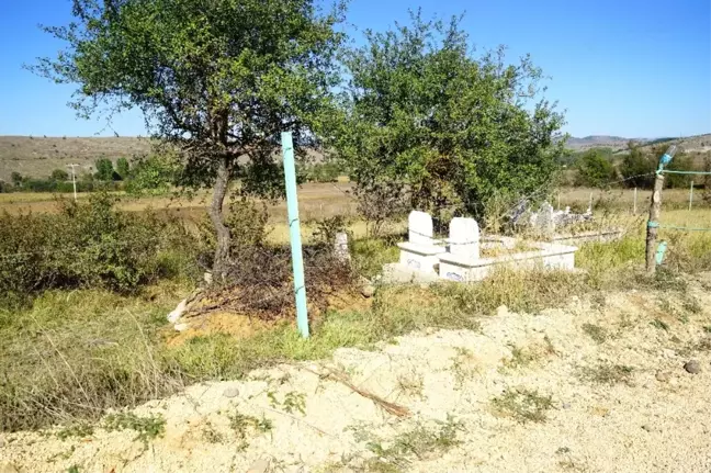 Ceset Yiyen Ayı, Kastamonu'da Yeniden Ortaya Çıktı