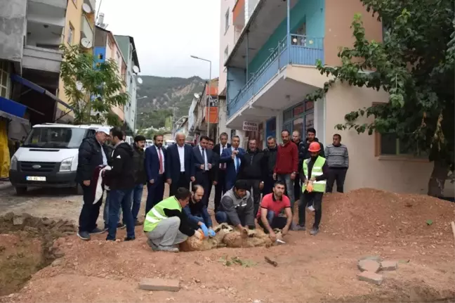 Reşadiye'de Altyapı Çalışmaları İçin Kurban Kesildi