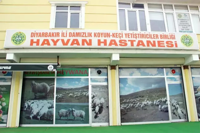 Tam Teşekküllü 'Hayvan Hastanesi'