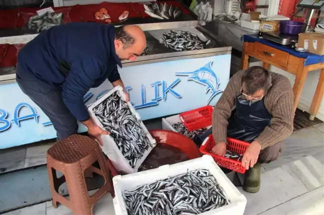 Olumsuz Hava Şartları Balık Tezgahlarına Yansıdı