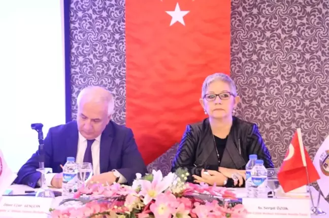 Erzincan'da Aile Hukukunda Hmk Uygulamaları-İstinaf