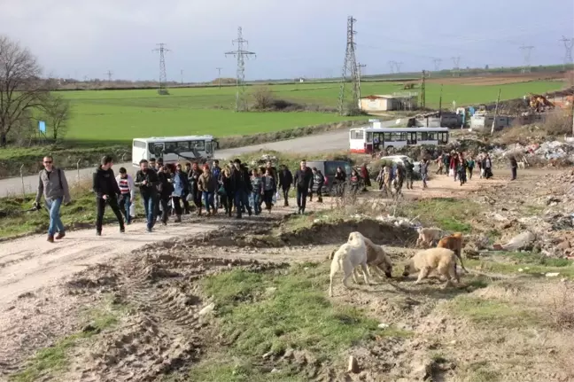 Üniversiteli Gençlerden Sokak Köpeklerine Gıda Desteği