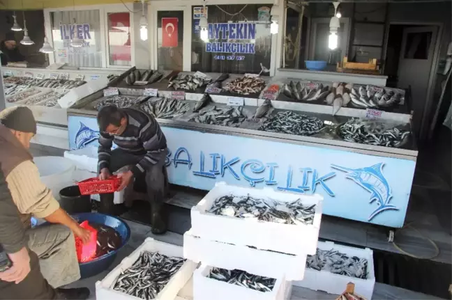 Balıkçıların Yüzü Gülmüyor