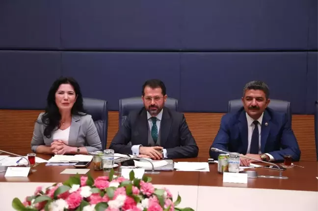 Altunyaldız: