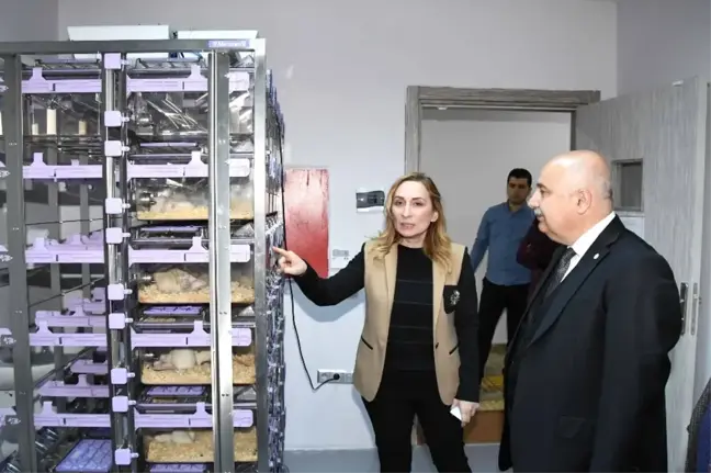 Rektör Gönüllü Deham'da İncelemelerde Bulundu