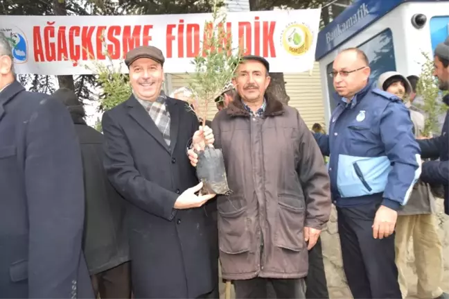 Başkan Bozkurt, Vatandaşlara Sedir Fidanı Dağıttı