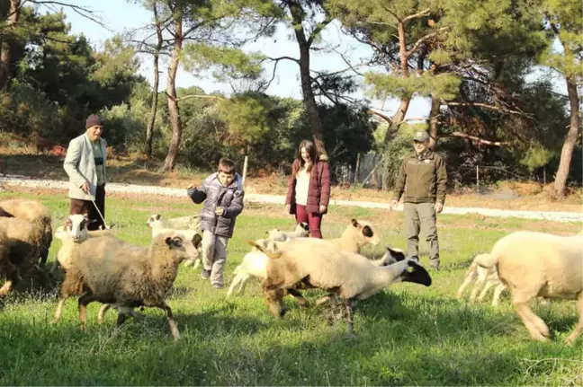 Babanın Mesleği Otizmli Çocuğa Terapi Oldu