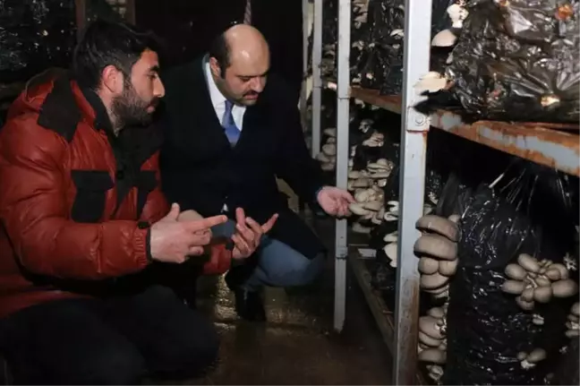 Kültür Mantarı Üreticilerine Başkan Orhan'dan Destek
