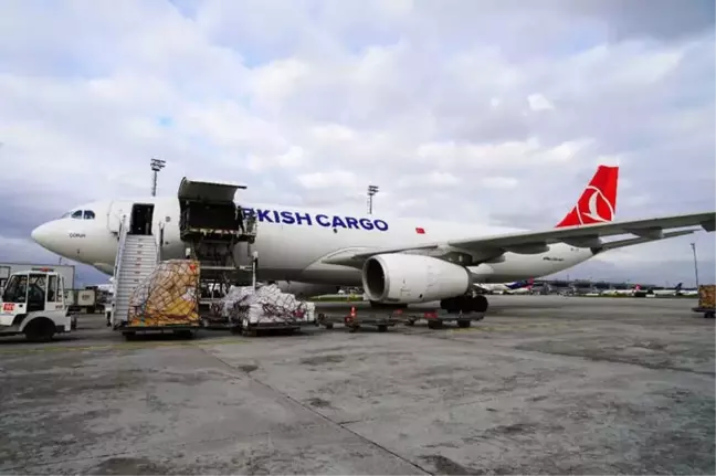 Turkish Cargo Çin'e Penguen ve Aslan Taşıdı