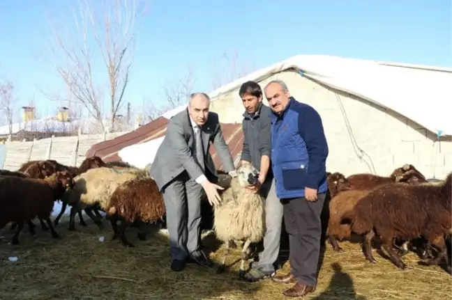 Genç Çiftçi Projesi ile Hayaline Kavuştu