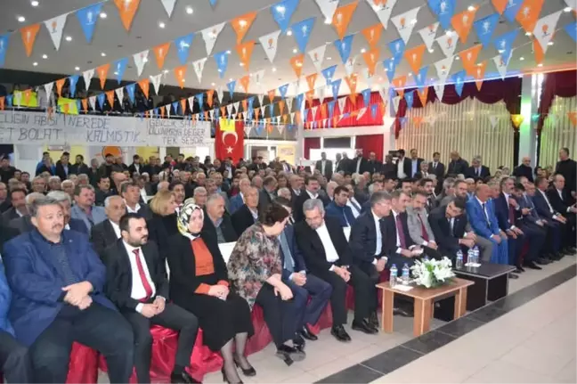 AB Bakanı Çelik;