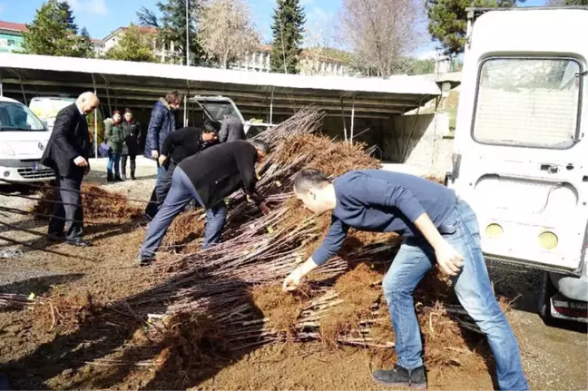 Kastamonu'da Çiftçilere 18 Bin Adet Fidan Dağıtıldı