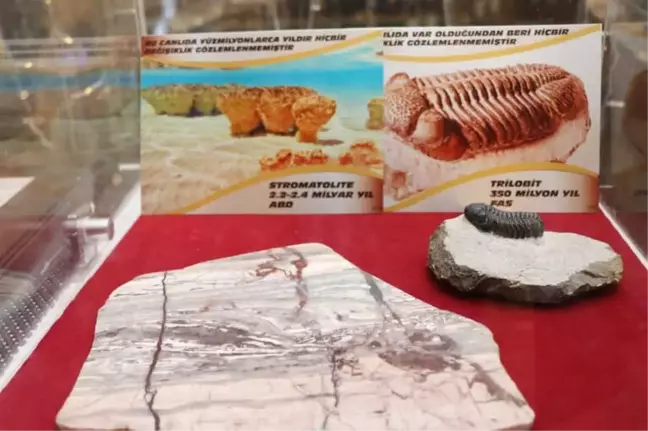 2 Milyar Yıllık Fosil Nevşehir'de Sergileniyor