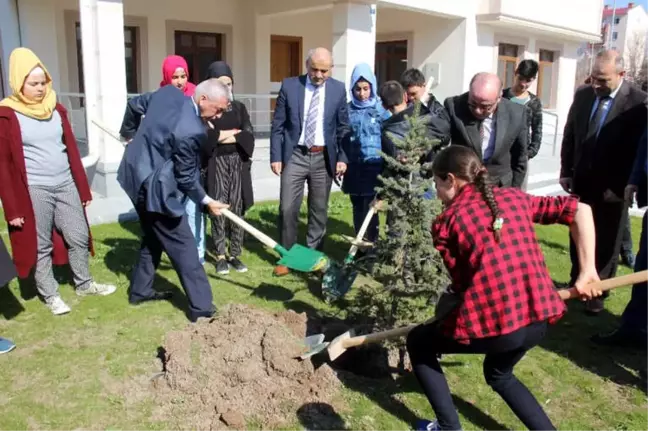 Çocuk Evleri'ndeki Çocuklar 41 Şehit İçin 41 Çam Ağacı Dikti