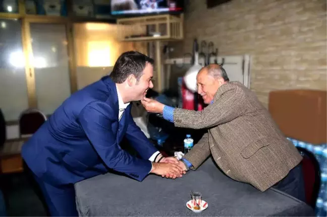 Buca'nın Dev Çınarlarına Sıcak Dokunuş