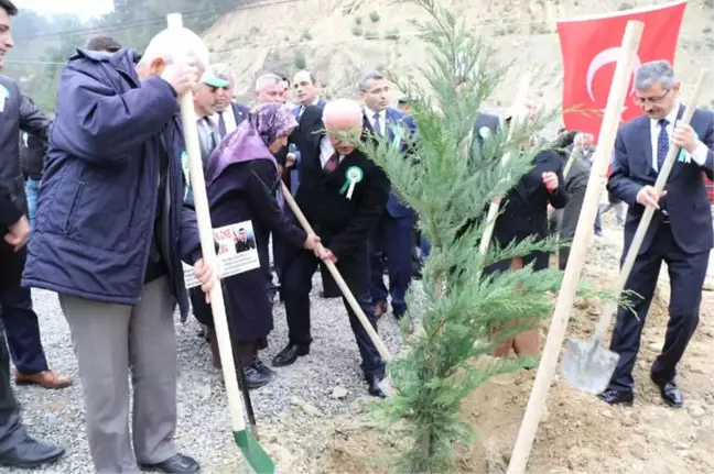 Dikmen Şehitler Ormanı'na Bin 100 Fidan