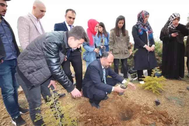 Beyşehir'de 2023 Adet Orman Fidanı Toprakla Buluşturuldu