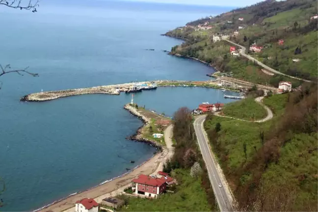 Yalıköy Balıkçı Barınağı 5 Yıldır Büyütülmeyi Bekliyor