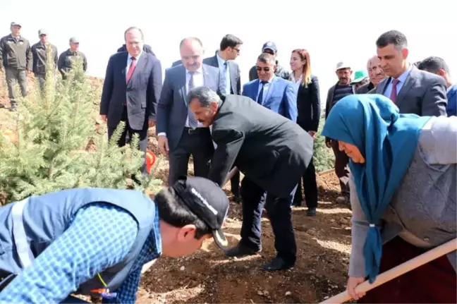 Şehit Sercan Kara İçin Hatıra Ormanı Oluşturuldu