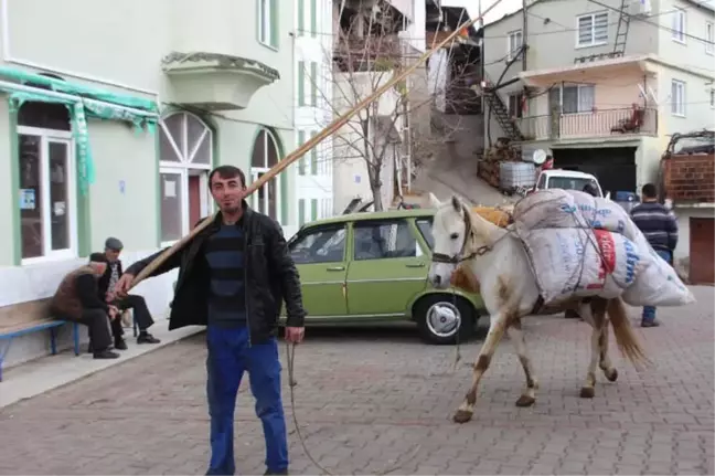 Akaryakıt Zamlarından Sonra At ve Eşekler Yeniden Kıymete Bindi
