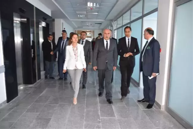 Vali İpek: