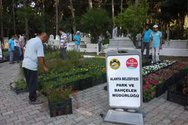 Alanya Belediyesi, 21 Mezarlıkta 42 Bin Çiçek Dağıtacak